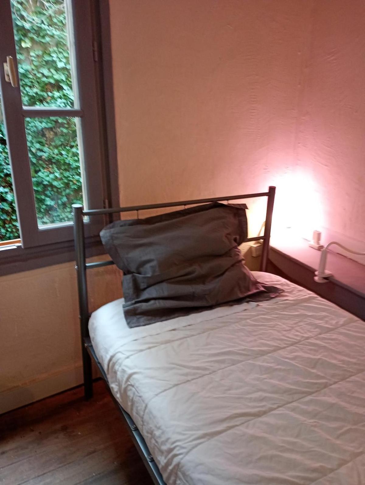 Duplex Center Thiers - Clermont-Ferrand - Lyon - Free Parking - Self-Check-In公寓 外观 照片